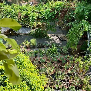  Homestay Gloria ,thrissur, Pooram Bookings Open, Min 2 Days